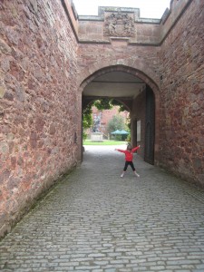 Powis Castle Powis Castle
